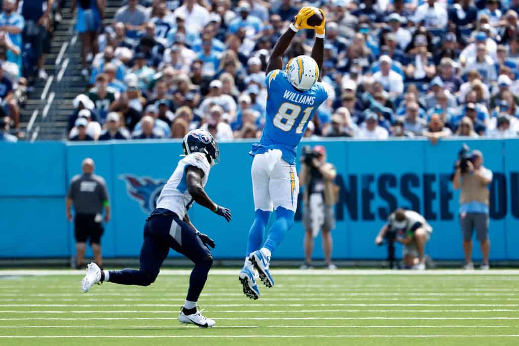 Mike Williams Reportedly Signing With AFC East Team